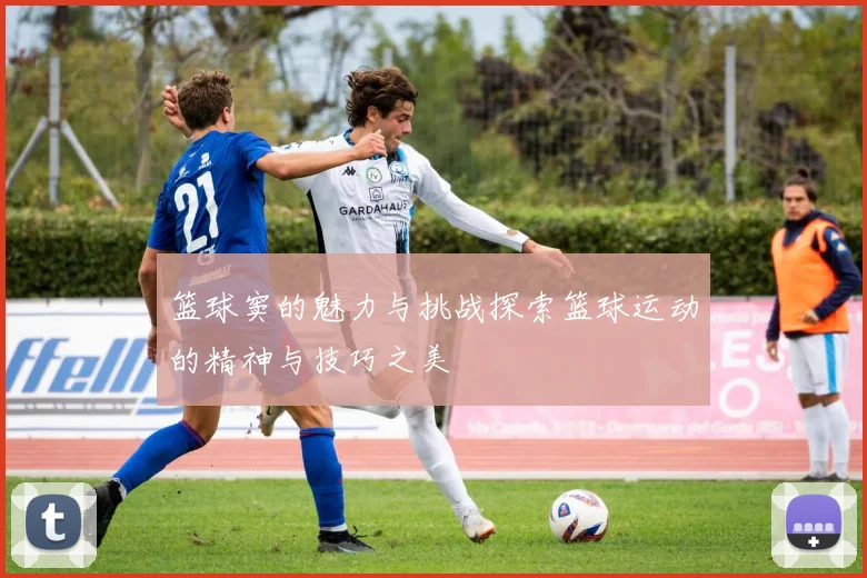 篮球窦的魅力与挑战探索篮球运动的精神与技巧之美