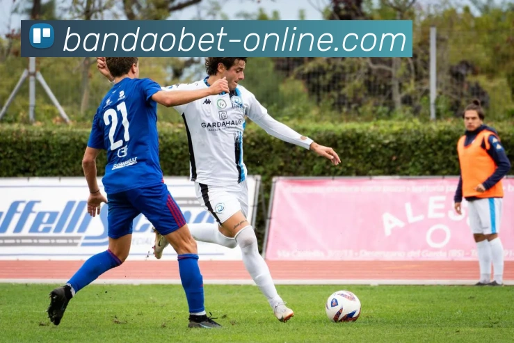 半岛体育品牌故事