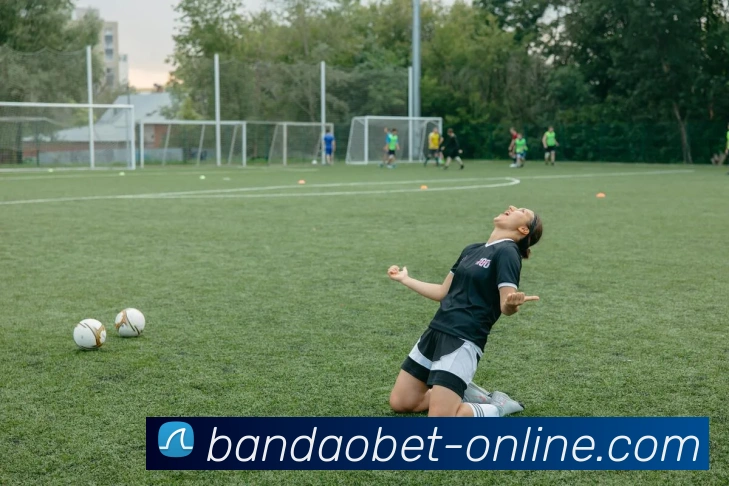 半岛体育服务体系